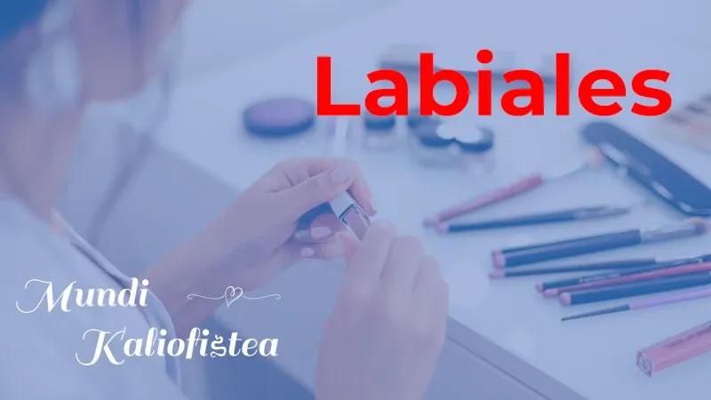 Tienda de labiales